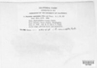 Image Associated With the Occurence